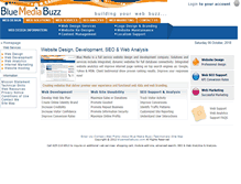 Tablet Screenshot of bluemediabuzz.com